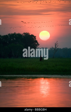 Sonnenuntergang in den Feuchtgebieten Yellow Water. Cooinda, Kakadu-Nationalpark, Northern Territory, Australien Stockfoto