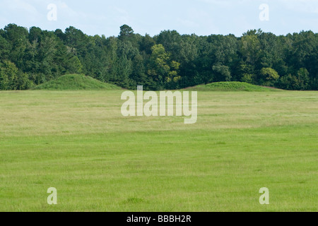 Natchez Trace Parkway, Pharr Mounds, Mississippi. In der Nähe von Mile 287. Erstellt 1 n. Chr. bis 200 n. Chr. Stockfoto