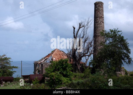 Bleibt ein The New River Kokosnuss Spaziergänge Estate Zucker Verarbeitungsanlage Karibikinsel Nevis Stockfoto