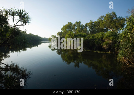 Nach Hause Billabong im Yellow Water Sumpfland.  Cooinda, Kakadu-Nationalpark, Northern Territory, Australien Stockfoto