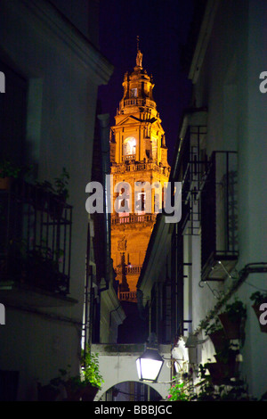 Calleja de Las Flores und der Kathedrale von Cordoba Spanien Stockfoto