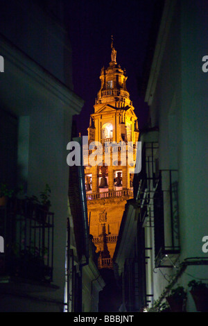 Calleja de Las Flores und der Kathedrale von Cordoba Spanien Stockfoto