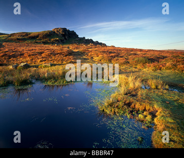 Sattel, Tor und Teich, Dartmoor, Devon, UK Stockfoto