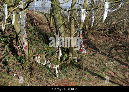 Frühling an der Kirche St. Kenelm, angeblichen Ort des Mordes von Kenelm Prinz von Mercia im neunten Jahrhundert und auch die Quelle der Stockfoto