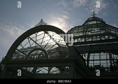 Die beleuchtete Dach des Sefton Park Palm House, Liverpool, Merseyside, England Stockfoto