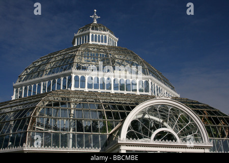 Das Dach des Sefton Park Palm House, Liverpool, Merseyside, UK Stockfoto