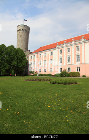 Pikk Hermann Turm und die rosa State Assembly-Gebäude auf dem Domberg Hill Tallinn, Estland, Europa. Foto: Willy Matheisl Stockfoto