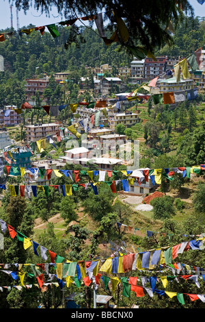 McLeod Ganj. Dharamsala. Himachal Pradesh. Indien Stockfoto