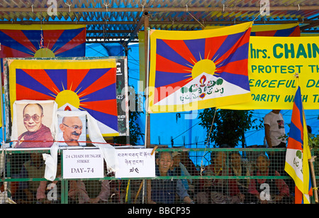 Tibetische Flüchtlinge im Hungerstreik für Tibet Rechte. McLeod Ganj. Dharamsala. Himachal Pradesh. Indien Stockfoto