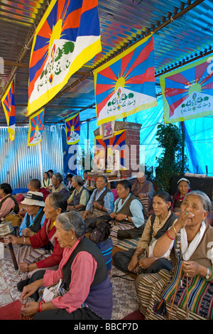 Tibetische Flüchtlinge im Hungerstreik für Tibet Rechte. McLeod Ganj. Dharamsala. Himachal Pradesh. Indien Stockfoto