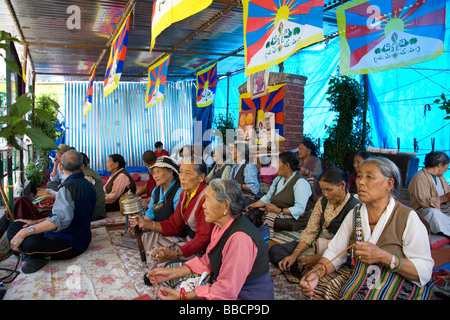 Tibetische Flüchtlinge im Hungerstreik für Tibet Rechte. McLeod Ganj. Dharamsala. Himachal Pradesh. Indien Stockfoto