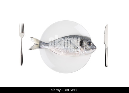 Rohem Fisch (Sparus Auratus) auf einem Teller auf weißen Hintergrund isoliert Stockfoto