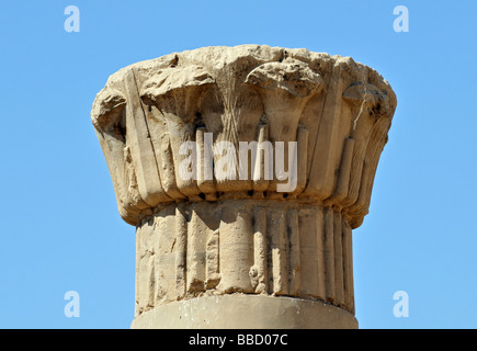 Detail der komplex zusammengesetzten Säule am ruiniert Geburt Haus Tempel des Horus in Edfu, Ägypten Stockfoto