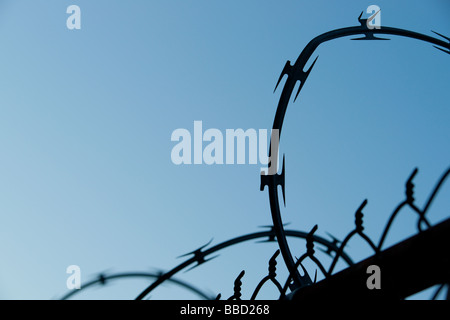 Abstrakte Detailbild der gekräuselte scharfen Stacheldraht auf einem Zaun vor einem blauen Himmel, was darauf hindeutet, Grenzschutz oder Sicherheit. Stockfoto