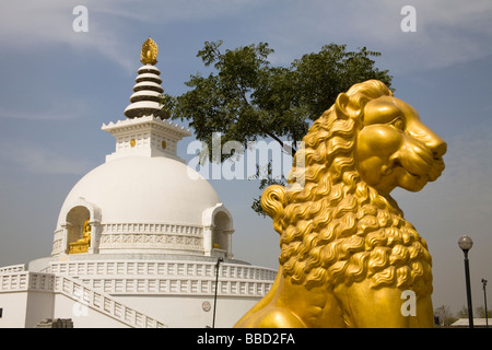 Vishwa Shanti Stupa, auch bekannt als World Peace Pagoda Indraprastha Park, New Delhi, Delhi, Indien Stockfoto