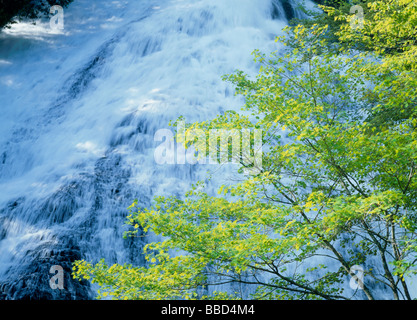 Wasserfall Stockfoto