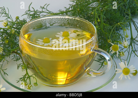 T-Stück Zeitungsjournalistin Tee Kamille 01 Stockfoto