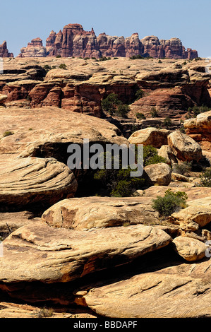 Canyonlands Needles District Utah USA Stockfoto