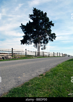 Amerikanischen Bürgerkriegs Schlachtfeld Antietam Stockfoto