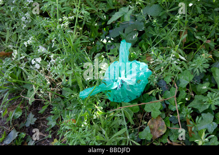 PE Beutel Hundehaufen geworfen in Hecke Cotswolds UK Stockfoto