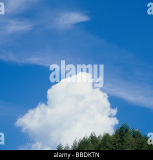 Wolkengebilde Stockfoto