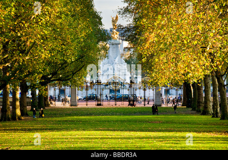 Queen Victoria Memorial, gesehen vom Green Park, London, UK Stockfoto