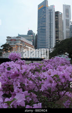 Bouganvillea wachsen am Ufer des Singapore River mit Wolkenkratzern des Finanzviertels und Fullerton hotel Stockfoto