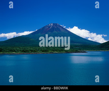 Mt.Fuji und See Stockfoto