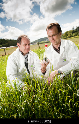 Mike Morris und Joe Gallagher von Lloret mit ihrem Projekt um Bio-Ethanol-Kraftstoff aus Weidelgras, Aberystwyth University, UK Stockfoto