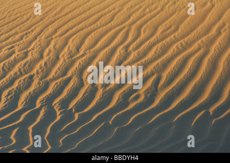 Nahaufnahme der Wellen im Sand Dune, Maspalomas, Playa del Inglés, Gran Canaria, Spanien Stockfoto