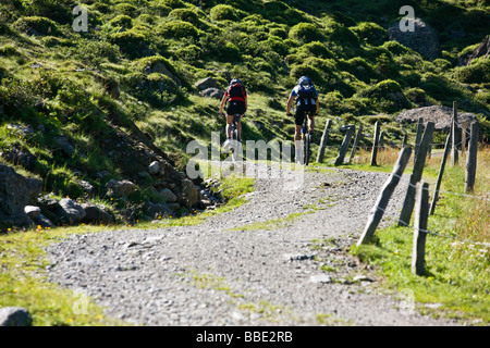 Mountain Biker, Alpbachtal, Nord-Tirol, Austria, Europe Stockfoto