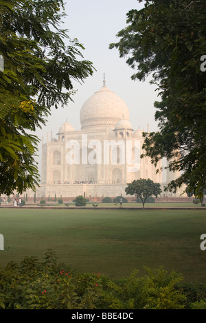 Taj Mahal im frühen Morgenlicht durch Laub und Bäume, Agra, Indien betrachtet. Stockfoto