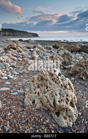 Distinctive pockennarbige magnesiumhaltiger Kalkfelsen auf dem Ufer von Weißdorn Hive an der County Durham Küste in der Nähe von Seaham Stockfoto