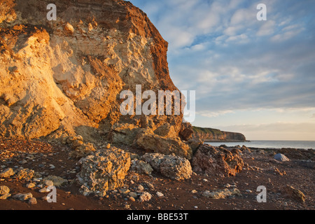 Die magnesiumhaltiger Kalksteinfelsen der Weißdorn Hive in der Nähe der Stadt Seaham Stockfoto