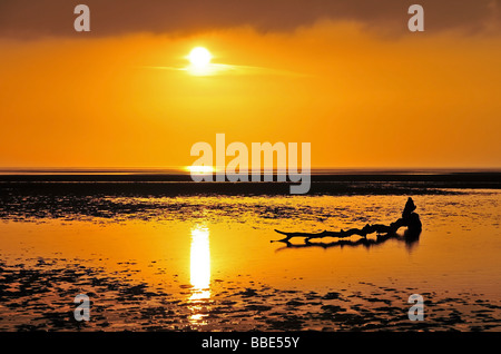 Treibholz-Baumstamm, in der Glut eines goldenen Sonnenuntergang am Strand von St.Anne, in der Nähe von Blackpool, Vereinigtes Königreich Stockfoto