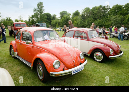 Ein paar der Volkswagen Käfer auf dem Display an Wallingford Oldtimer Rallye, Oxfordshire, Vereinigtes Königreich Stockfoto