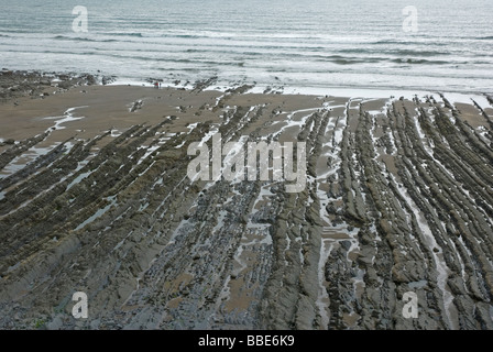 Erosion der geneigten Gesteinsschichten an der Nordküste der Devon Welcombe Mündung Stockfoto