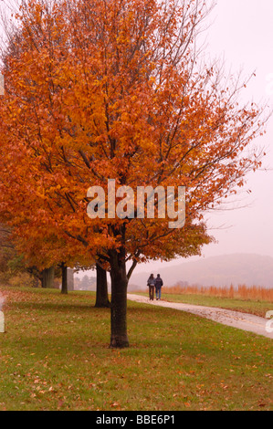 Wanderer genießen Sie einen Spaziergang auf einem von Bäumen gesäumten Weg in Valley Forge National Historical Park Stockfoto