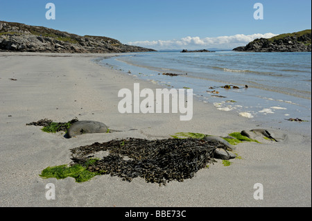 Isle of Mull-Strand-Szene Stockfoto