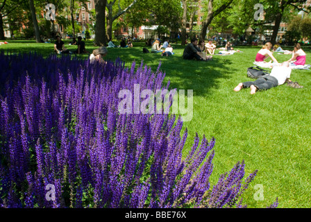 New Yorker genießen das warme Wetter zum Sonnen und entspannen auf einer Wiese in der neu renovierten Washington Square Park Stockfoto