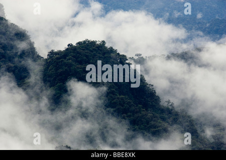 Nebelwald Landschaft - Sachatamia Rainforest Reserve - Mindo, Ecuador Stockfoto