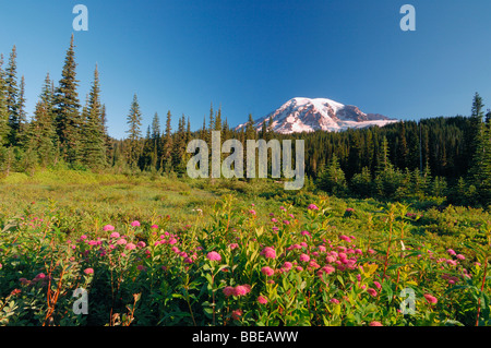 Mount Rainier, Mount Rainier Nationalpark, Pierce County, Kaskade-Strecke, Washington, USA Stockfoto