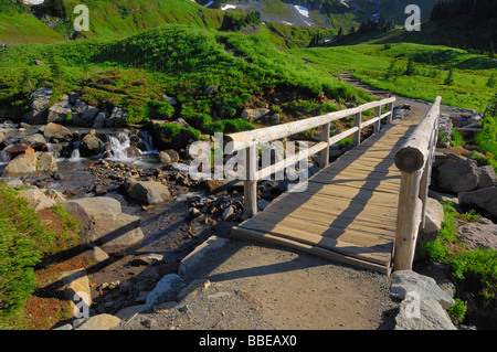 Fußgängerbrücke, Mount Rainier Nationalpark, Pierce County, Kaskade-Strecke, Washington, USA Stockfoto