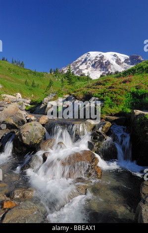 Mount Rainier und Stream, Mount Rainier Nationalpark, Pierce County, Kaskade-Strecke, Washington, USA Stockfoto