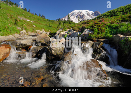 Mount Rainier und Stream, Mount Rainier Nationalpark, Pierce County, Kaskade-Strecke, Washington, USA Stockfoto