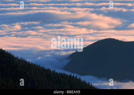 Blick von Hurricane Ridge, Olympic Nationalpark, Washington, USA Stockfoto