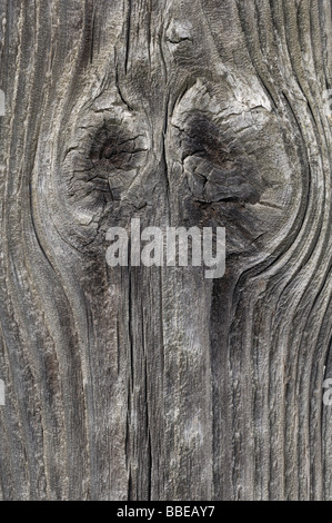 Knoten im Holz Stockfoto