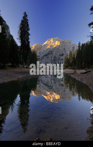 Croda Del Becco spiegelt sich in der Pragser Wildsee, Fanes Alpen, Naturpark Fanes-Senes-Prags, South Tyrol, Italien Stockfoto