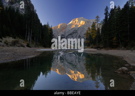 Croda Del Becco spiegelt sich in der Pragser Wildsee, Fanes Alpen, Naturpark Fanes-Senes-Prags, South Tyrol, Italien Stockfoto