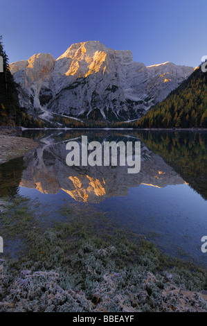 Croda Del Becco spiegelt sich in der Pragser Wildsee, Fanes Alpen, Naturpark Fanes-Senes-Prags, South Tyrol, Italien Stockfoto